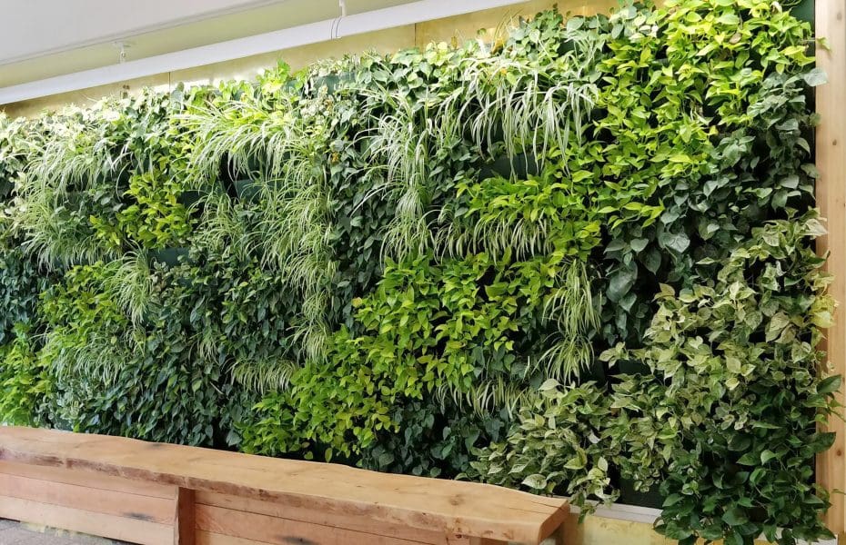 Modulogreen Living Walls | ByNature Design