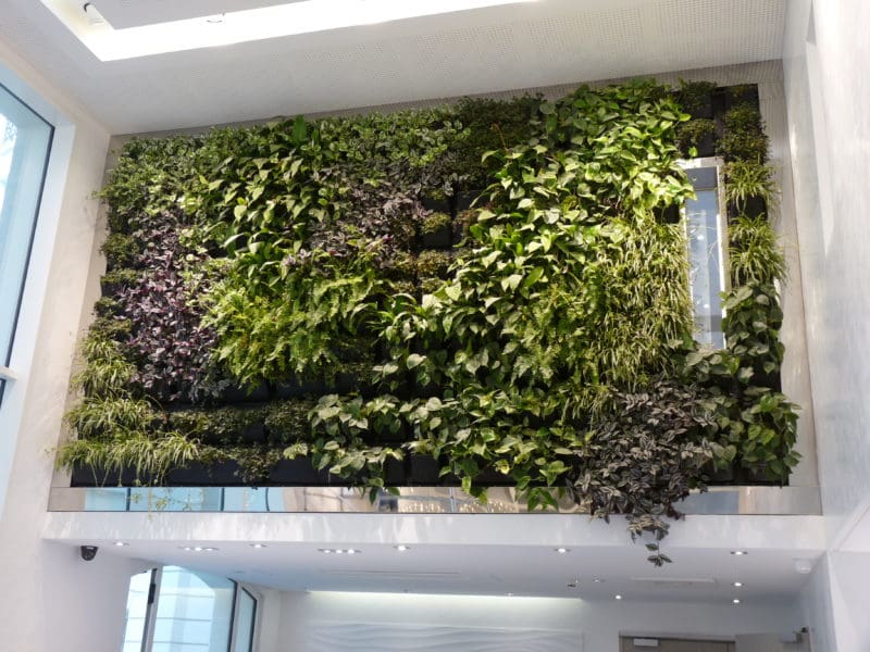 Modulogreen Living Walls 