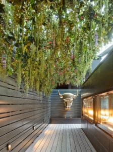 Trailing Plants & Garlands