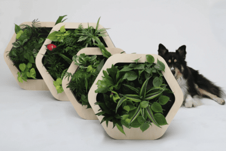 Growmeo® - ByNature Design