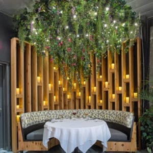 Black + Blue Black + Blue