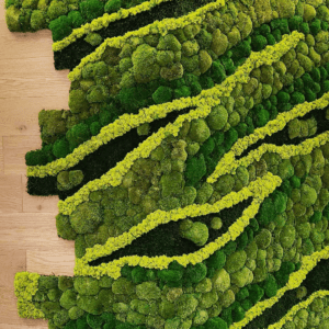 mur de mousse stabilisée