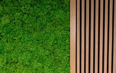 Preserved Reindeer Moss