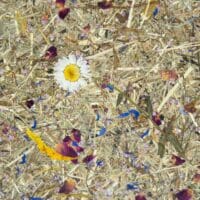 Alpine Meadow Papier Flora