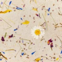 Alpine Meadow Light Papier Flora