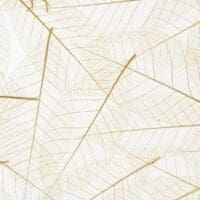 Skeleton Leaves Papier Flora