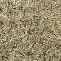 Wildspitze Papier Flora