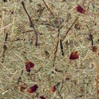 Wildspitze Rose Garden Papier Flora