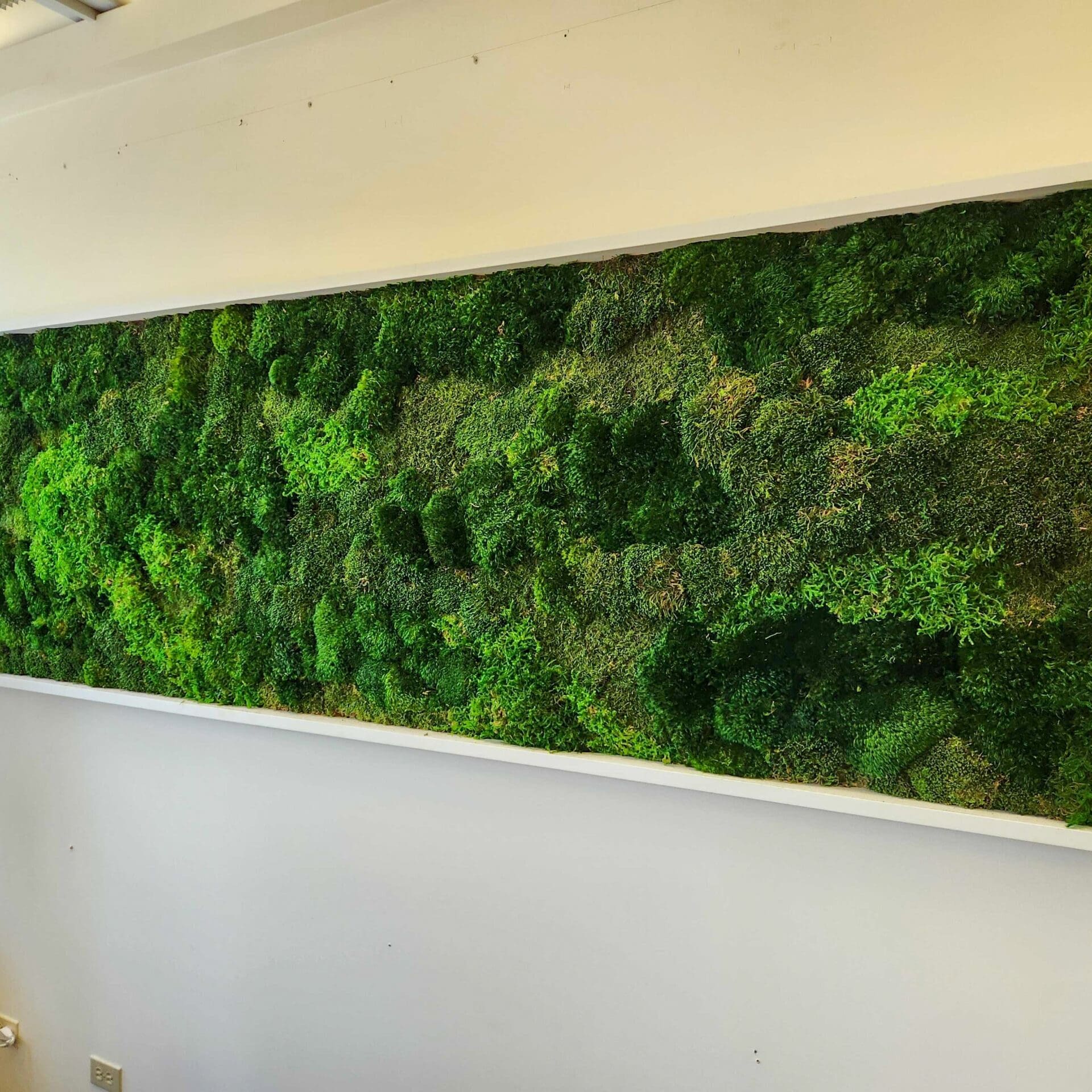 West Coast Environmental