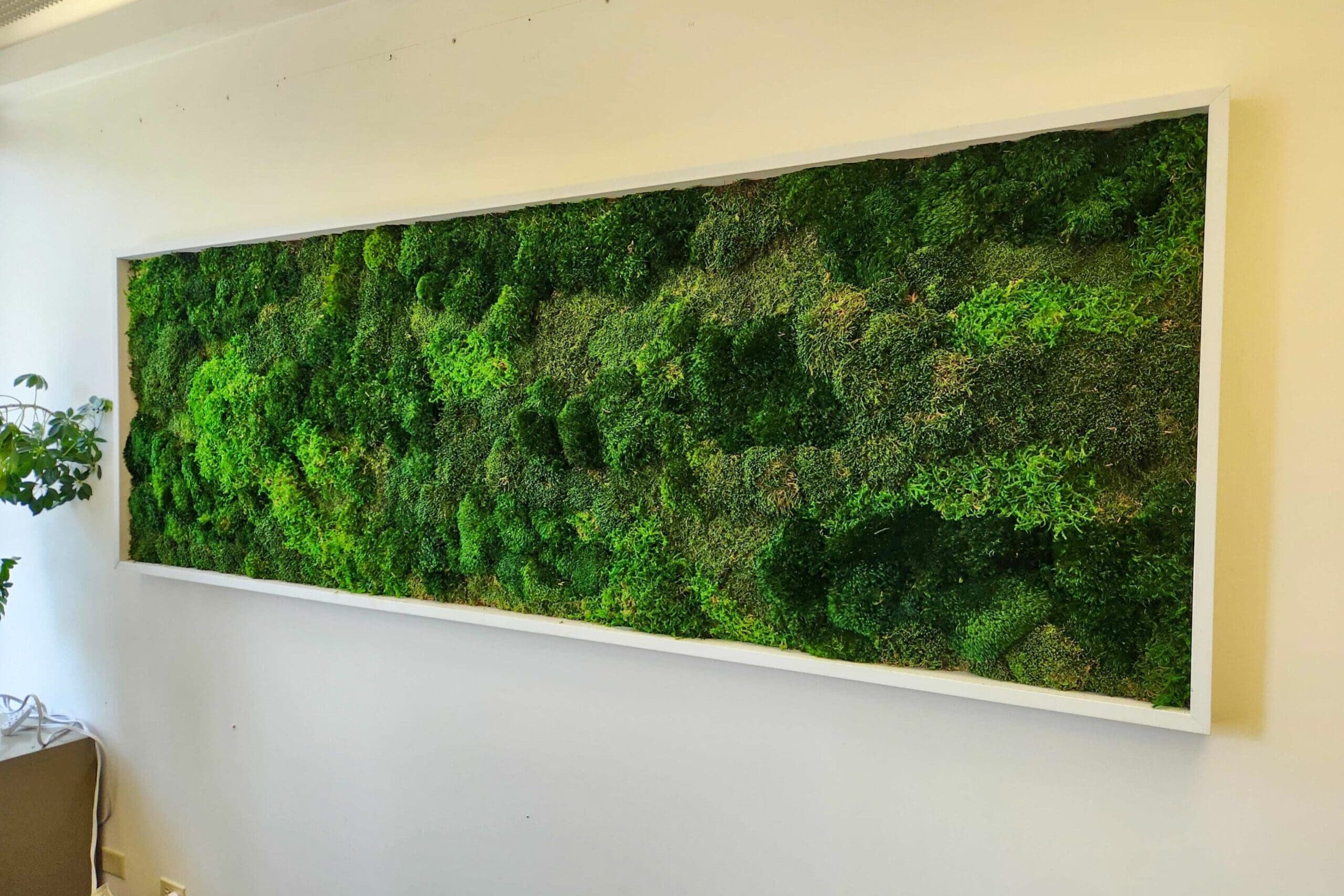 West Coast Environmental West Coast Environmental