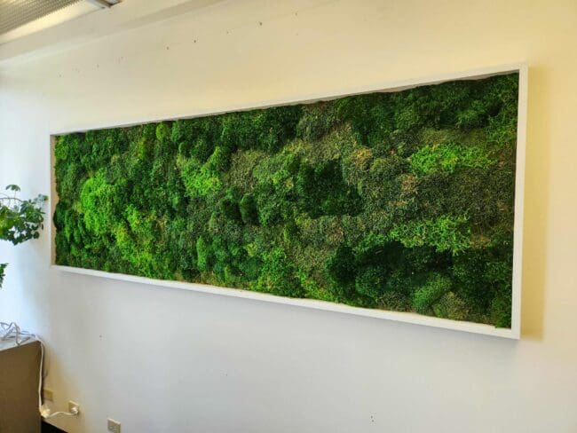 West Coast Environmental