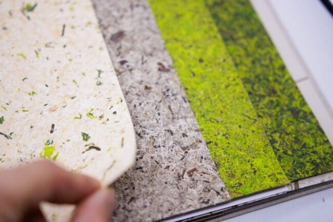 PapierFlora PapierFlora