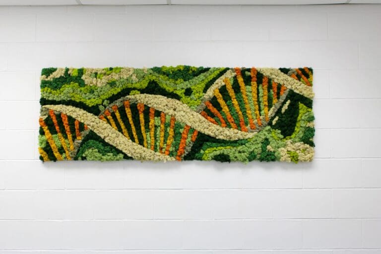 University of Toronto Mississauga